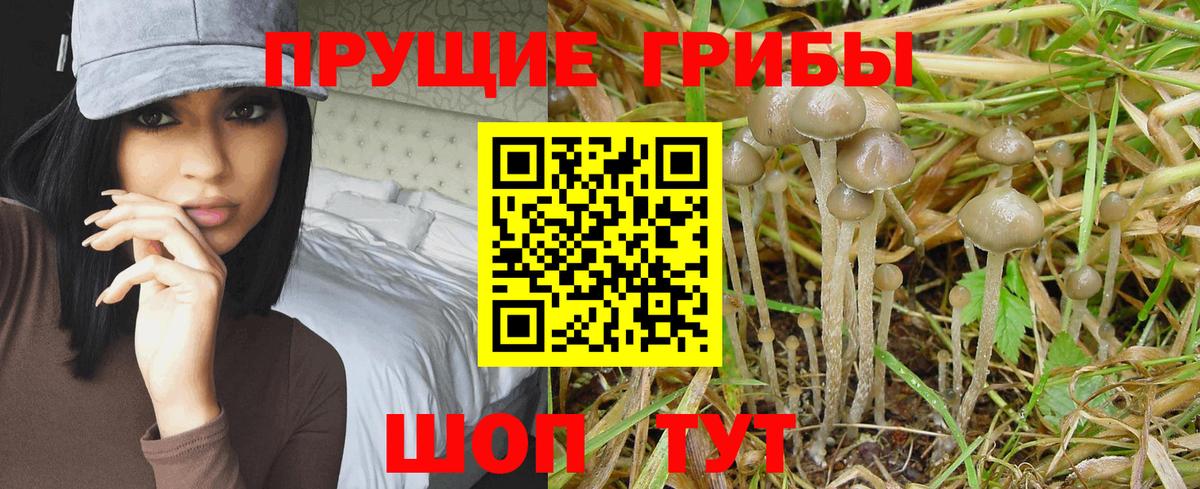 Москва  Галлюциногенные грибы Magic Shrooms  Вход с VPN  Галлюциногенные грибы MAGIC MUSHROOMS 