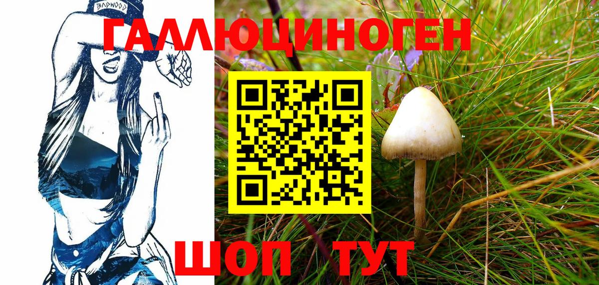 Псилоцибиновые грибы мицелий Москва